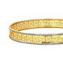 Appeal Mesmerising Gold Bangles