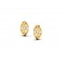 Parnika Cluster Diamond Earrings