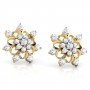 Hues Diamond Earrings