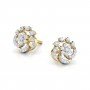 Exuberant Diamond Earrings