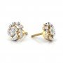 Exuberant Diamond Earrings