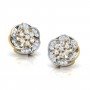 Edenic Diamond Earrings