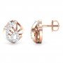 Evoke Diamond Earrings