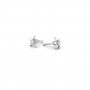 Star Shine Diamond Stud Earrings