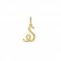 Golden Cursive Alphabet S Charm