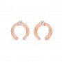 Rose Gold Zircon Studded Circle Earrings