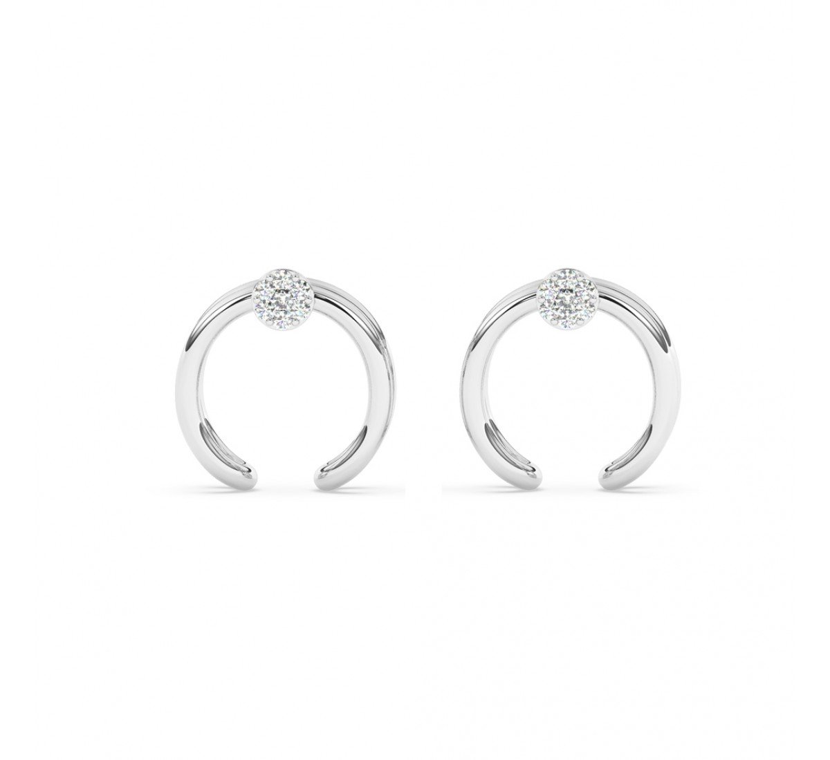 Silver Zircon Studded Circle Earrings