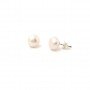 Silver Small White Pearl Earrings