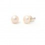 Silver Large White Pearl Earrings