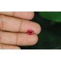 Natural Ruby 1.9 Carat