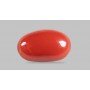 Natural Red Coral 4.09 Carat