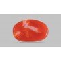 Natural Red Coral 4.09 Carat