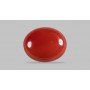 Natural Red Coral 4.47 Carat