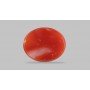 Natural Red Coral 4.47 Carat