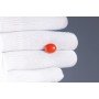 Natural Red Coral 4.47 Carat