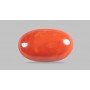 Natural Red Coral 4.42 Carat