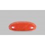 Natural Red Coral 4.42 Carat