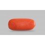 Natural Red Coral 5.24 Carat