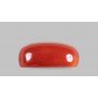 Natural Red Coral 5.93 Carat