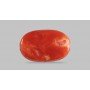 Natural Red Coral 5.93 Carat