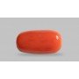 Natural Red Coral 5.96 Carat