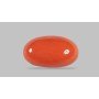 Natural Red Coral 6.04 Carat