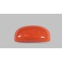 Natural Red Coral 6.04 Carat