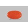 Natural Red Coral 6.04 Carat