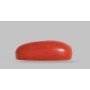 Natural Red Coral 6.1 Carat