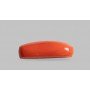 Natural Red Coral 6.79 Carat