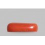 Natural Red Coral 6.73 Carat