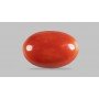 Natural Red Coral 7.7 Carat