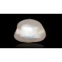 Natural Pearl 3.7 Carat