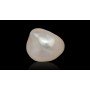 Natural Pearl 5.25 Carat