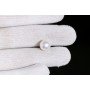 Natural Pearl 6.81 Carat