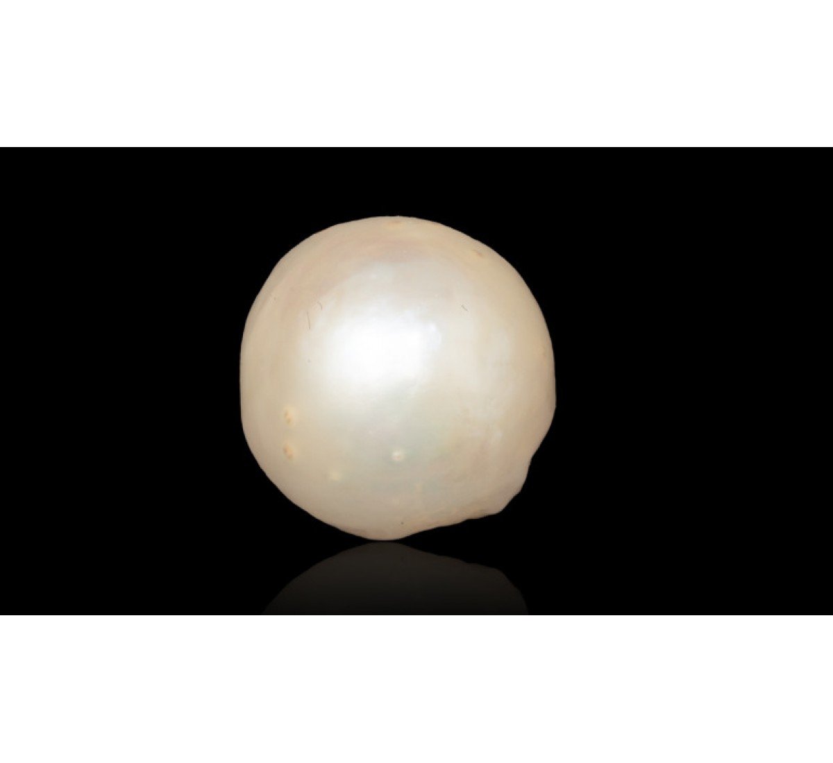 Natural Pearl 2.44 Carat