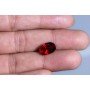 Natural Hessonite Gomed 7.32 Carat