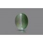 Natural Cat's Eye 3.9 Carat