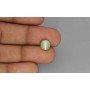 Natural Cat's Eye 4.08 Carat