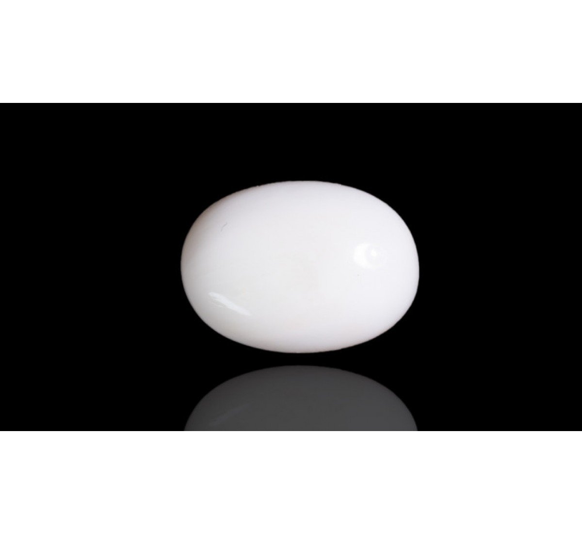 Natural White Coral 9.71 Carat