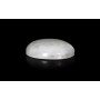 Rainbow Moonstone 16X12 MM 8.60 Carats