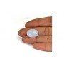 Rainbow Moonstone 18X13 MM 9.93 Carats