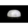 Rainbow Moonstone 14X10 MM 7.85 Carats