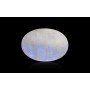 Rainbow Moonstone 14X10 MM 6.63 Carats