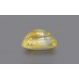 Yellow Topaz 8.03 Carats