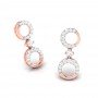 Pleasing Drop Diamond Earrings