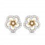 Rays In Eye Diamond Earrings