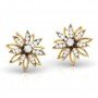 Erica Paisley Diamond Earrings