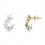 Astra Winsome Diamond Earrings