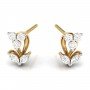 Delightful Diamond Studs